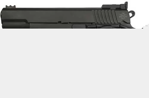FI_1034068
