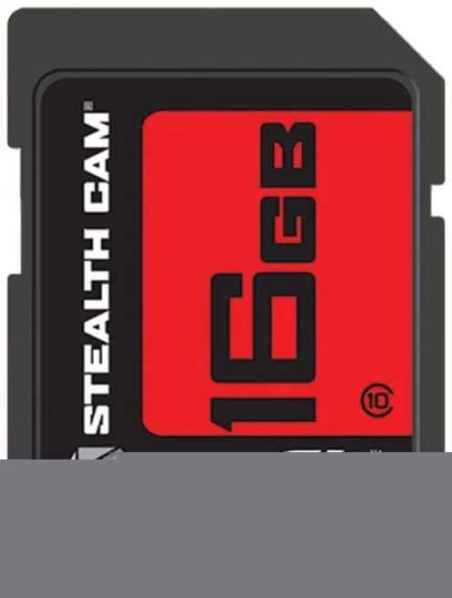 MS_GSTC16GB