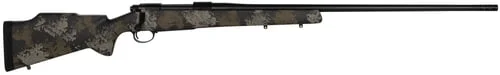 payneg_2026_04_26_01_42_13_145165